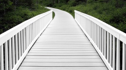 Fototapeta premium A well-maintained white wooden fence borders a vibrant green hedge, creating a serene atmosphere in a sunny yard