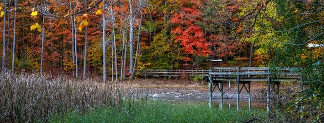 Scenic boardwalk trail along lake in Maybury state park in Michigan