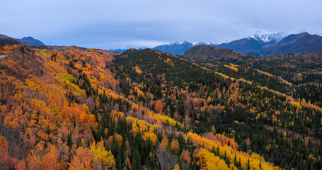 Scenic panoramic landscape in Alaska countryside during autumn time.