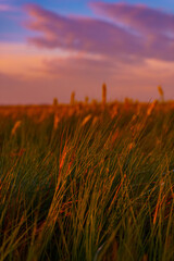 Vibrant Sunrise Over Tranquil Lagoon