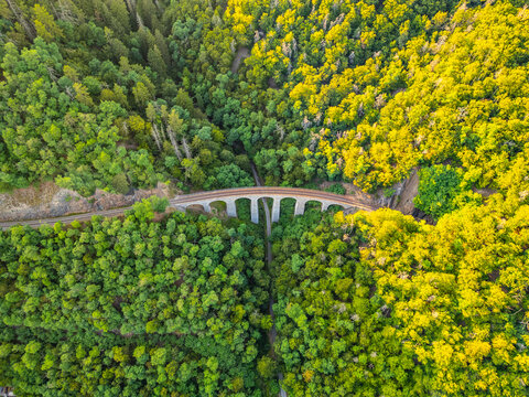 Aerial view of the Zampach stone railway bridge surrounded by lush greenery in Czechia, showcasing the pristine natural landscape and the curve of the railway tracks.