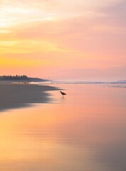 Fototapeta premium Amanecer en la Playa
