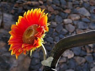 Kunstblume - Sonnenblume