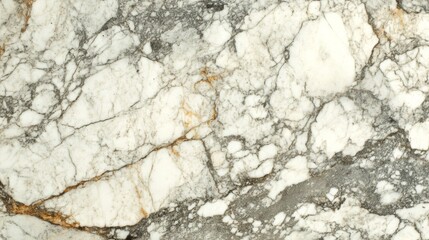 Fototapeta premium White Marble Surface with Gray and Gold Veins