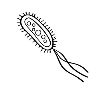 recommend clip art: Bacteria and Viruses doodle . Microorganism in sketch style. 