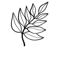 Autumn  season doodle outline illustration