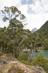 Obraz premium Views along Wanaka river during an adventurous jet boat cruise.