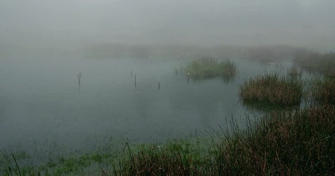 Silent lake with fogging mist