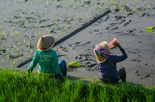 women drink in field