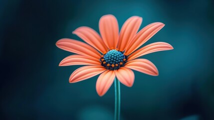 Vibrant orange flower against a soft blue background