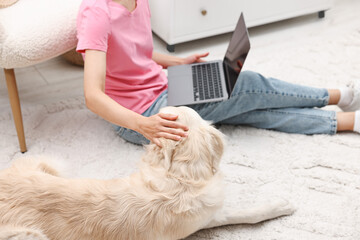 Fototapeta na wymiar Online pet shop. Woman with laptop making order for cute Golden Retriever dog on rug at home, closeup