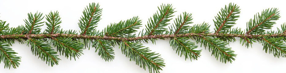 Obraz premium Christmas garland of evergreen tree pine and holly berries and cones on isolated white background.
