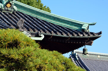 Shibamata Temple top view