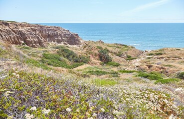 The Beautiful Torrey Pines State Natural Preserve in San Diego