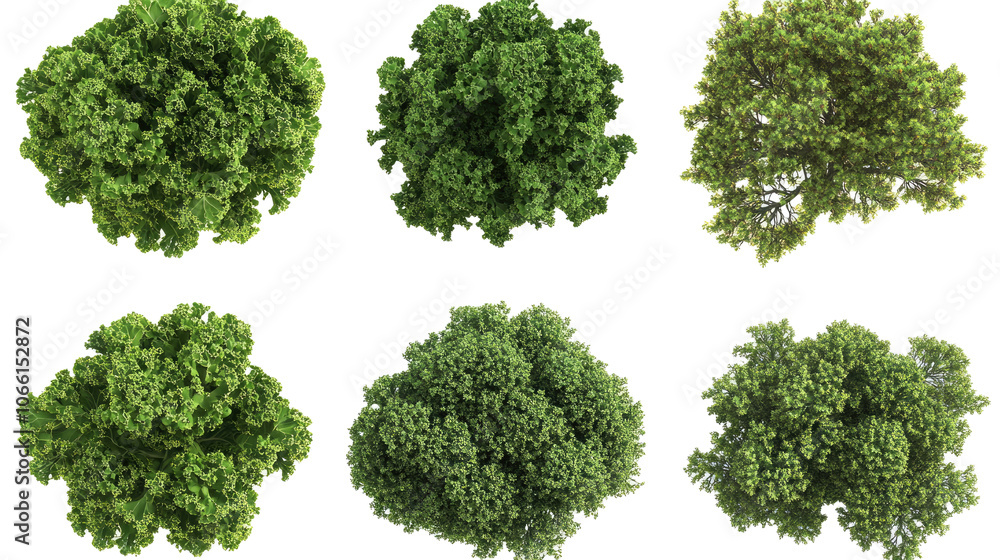 Poster green veggies and trees on transparent background generative ai