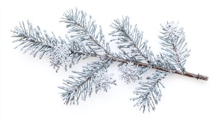 Winter Wonderland - Snowflake Overlay on Christmas Tree Branch with Gentle Glow on White Background