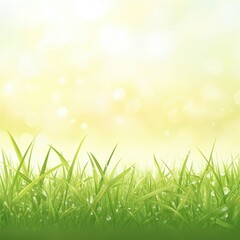 Fototapeta premium A serene green grass field with a soft, dreamy bokeh background, perfect for nature-themed projects and designs.