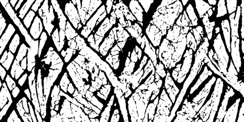 Obraz premium Abstract cracked texture pattern with monochrome leaf veins
