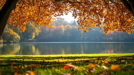 Obraz premium Autumnal Lake Scene Viewed from Underneath a Tree