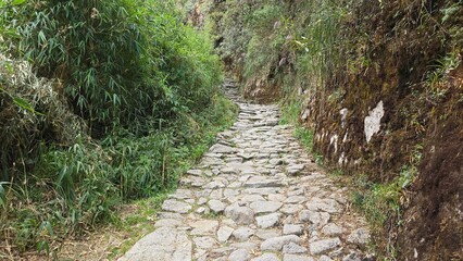 Obraz premium Path and steps on the Inca Trail hike to Machu Picchu in the Andes. It is believed that they were placed by the ancient Inca themselves between the sacred lost city and the capital of Cusco.