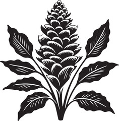 black and white ornament flower with leaves silhouette design vector art illustration