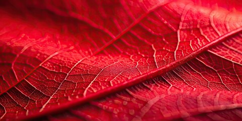 Obraz premium Close-up of vibrant red sheet texture, macro , textile, fabric, pattern, design, material, vibrant, close-up, red, textured, background