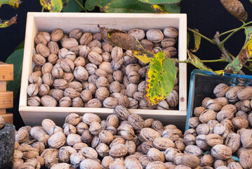 Closeup shot piles of walnut seeds