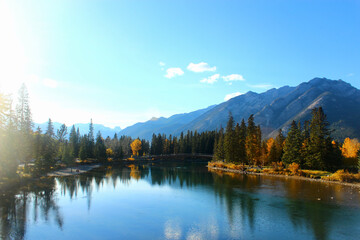 Fototapeta premium Autumn stroll in the Rocky Mountains