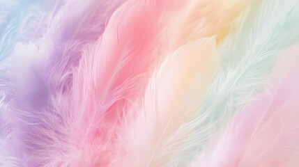 Colorful Pastel Feathers in a Vibrant Display.