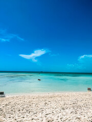 beach with palm trees