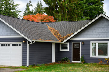 Fall storm leaf and pine needle debris on residential house roof and green lawn  © knelson20
