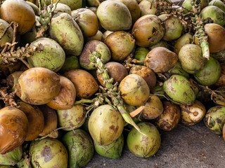 Young coconuts piled high and ready to be sold and processed into fresh drinks