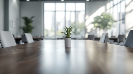 Fototapeta premium A minimalist office space featuring a wooden table, a small potted plant, and ample natural light from large windows.