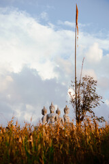 Four-headed Buddha statue in an old temple in Khun Pae Village, Chom Thong District, Chiang Mai Province