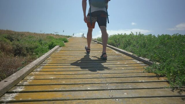 Man walks up a boardwalk as seabirds fly around.