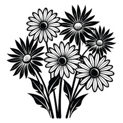 daisies set flower vector illustration