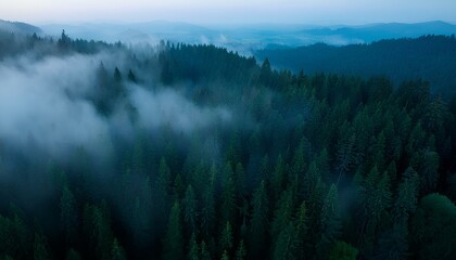 A rainy and peaceful night view in a mountainous woodland. Shades of green and blue