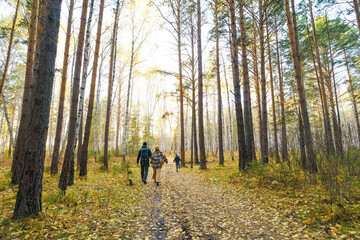 Fototapeta premium family walking in forest