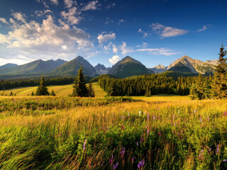 Fototapeta premium alpine landscape