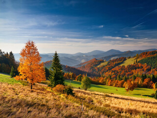 Fototapeta premium autumn landscape in the mountains