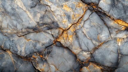 Fototapeta premium Gray and Gold Veined Marble Texture