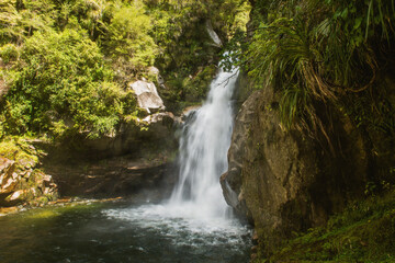 Fototapeta premium waterfall in the forest, wainui falls in takaka nz