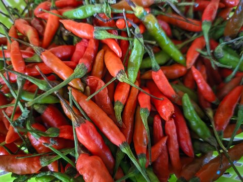 A Spicy Bunch of Red and Green Chilis, aku A close up of  chili peppers and some green ones.