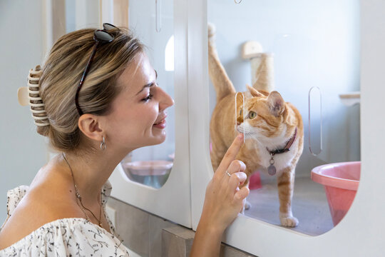 Caucasian woman visiting pet shelter looking for adopting cat while meeting and getting acquaintance with this adorable clingy ginger cat for pet hotel and boarding sitter