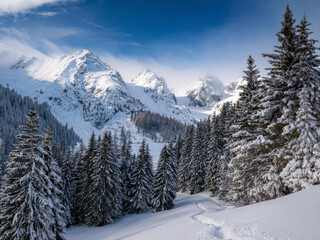 Fototapeta premium snow covered mountains