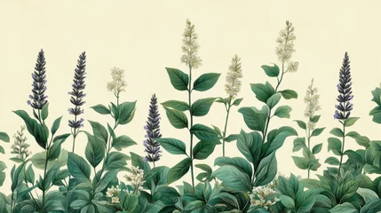 Fotobehang Botanical Illustration of Purple and White Flowers with Green Leaves © Fomo Creative