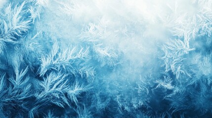 Obraz premium Delicate Frost Patterns on a Windowpane