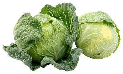 Fototapeta premium PNG Cabbages vegetable cabbage produce.