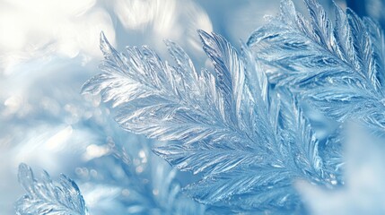 Delicate Ice Crystals Forming a Feather-Like Pattern