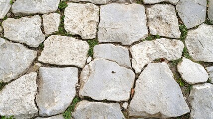 Obraz premium Irregularly Shaped Stone Pathway with Green Patches